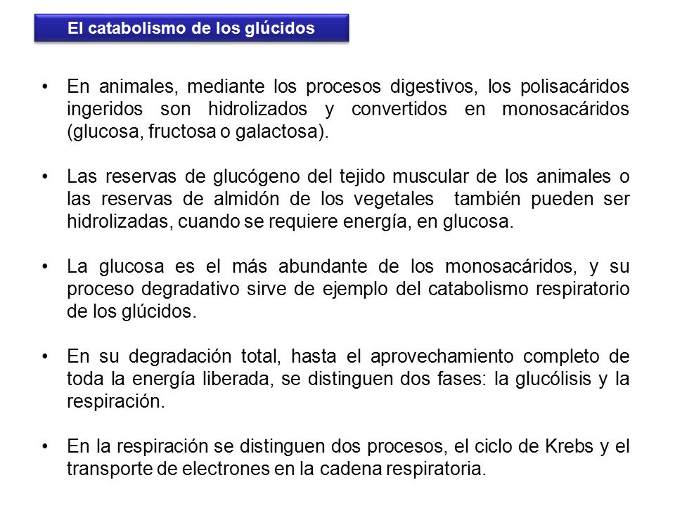 proceso catabolico de glucosa
